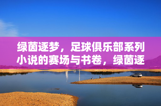 绿茵逐梦，足球俱乐部系列小说的赛场与书卷，绿茵逐梦，足球俱乐部系列小说的赛场与书卷