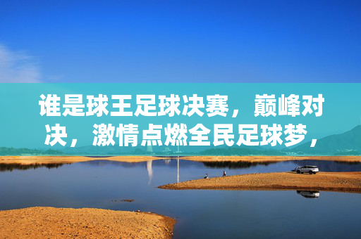 谁是球王足球决赛，巅峰对决，激情点燃全民足球梦，谁是球王足球决赛，巅峰对决，激情点燃全民足球梦