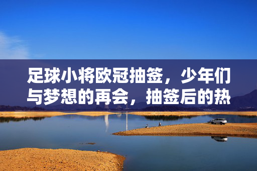足球小将欧冠抽签，少年们与梦想的再会，抽签后的热血与挑战，足球小将欧冠抽签，少年与梦想的再会，热血与挑战的序章