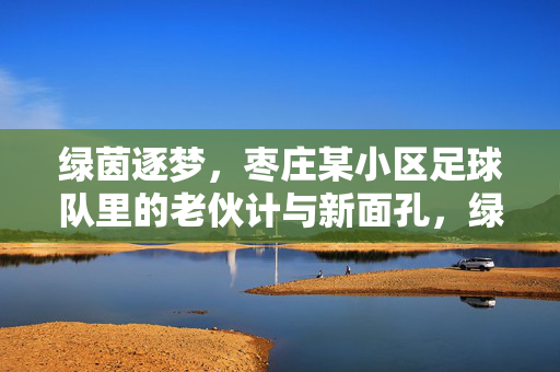 绿茵逐梦，枣庄某小区足球队里的老伙计与新面孔，绿茵逐梦，枣庄某小区足球队里的老伙计与新面孔