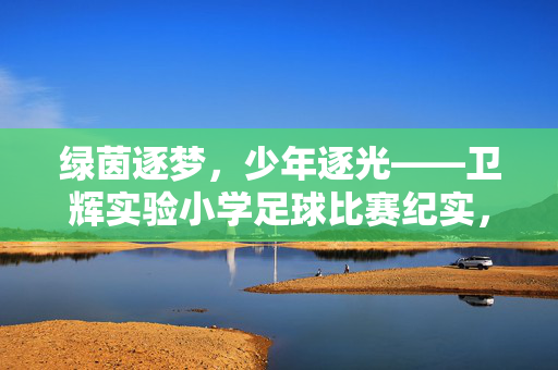绿茵逐梦，少年逐光——卫辉实验小学足球比赛纪实，绿茵逐梦，少年逐光——卫辉实验小学足球比赛纪实