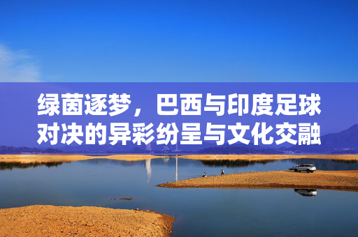 绿茵逐梦，巴西与印度足球对决的异彩纷呈与文化交融，绿茵逐梦，巴西与印度足球对决的异彩纷呈与文化交融