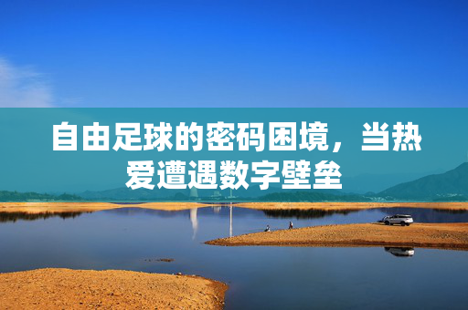 自由足球的密码困境，当热爱遭遇数字壁垒