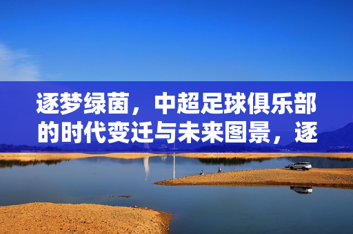 逐梦绿茵，中超足球俱乐部的时代变迁与未来图景，逐梦绿茵，中超足球俱乐部的时代变迁与未来图景