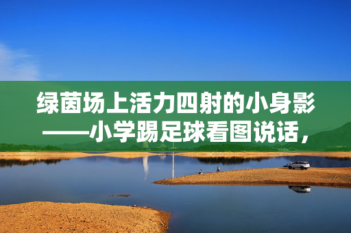 绿茵场上活力四射的小身影——小学踢足球看图说话，绿茵场上活力四射的小身影——小学踢足球看图说话