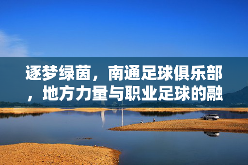 逐梦绿茵,南通足球俱乐部,地方力量与职业足球的融合之路,逐梦绿茵,南通足球俱乐部的地方力量与职业足球融合之路