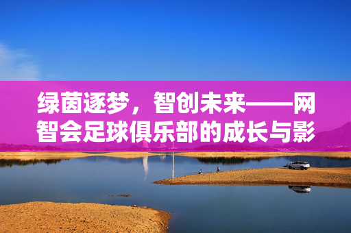 绿茵逐梦，智创未来——网智会足球俱乐部的成长与影响