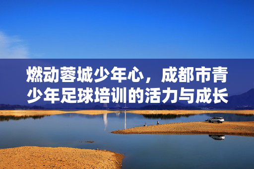 燃动蓉城少年心，成都市青少年足球培训的活力与成长之路，燃动蓉城少年心，成都市青少年足球培训的活力与成长之路