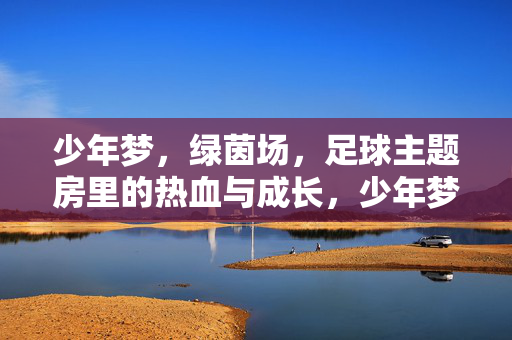 少年梦，绿茵场，足球主题房里的热血与成长，少年梦，绿茵场，足球主题房里的热血成长