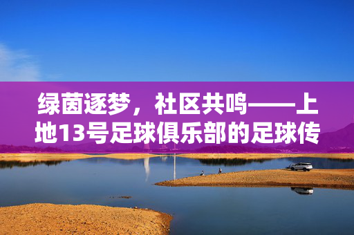 绿茵逐梦，社区共鸣——上地13号足球俱乐部的足球传承之路