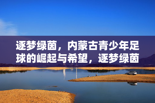 逐梦绿茵，内蒙古青少年足球的崛起与希望，逐梦绿茵，内蒙古青少年足球的崛起与希望