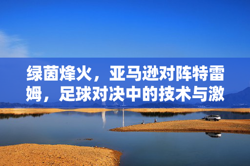 绿茵烽火，亚马逊对阵特雷姆，足球对决中的技术与激情碰撞，绿茵烽火，亚马逊对阵特雷姆，足球对决中的技术与激情碰撞