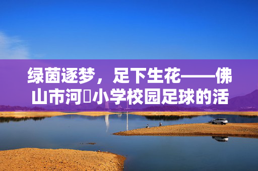 绿茵逐梦，足下生花——佛山市河滘小学校园足球的活力绽放