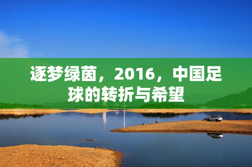 逐梦绿茵，2016，中国足球的转折与希望