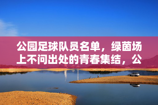 公园足球队员名单，绿茵场上不问出处的青春集结，公园足球队员名单，绿茵场上不问出处的青春集结