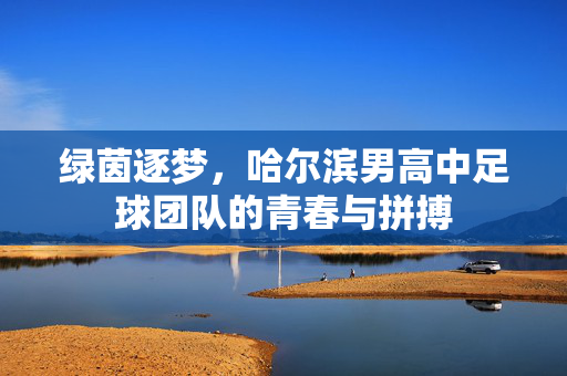 绿茵逐梦，哈尔滨男高中足球团队的青春与拼搏