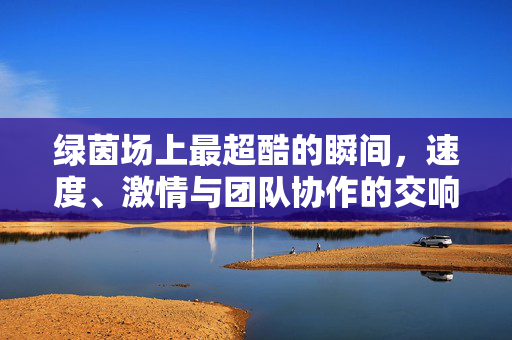 绿茵场上最超酷的瞬间，速度、激情与团队协作的交响，绿茵场上最超酷的瞬间，速度、激情与团队协作的交响