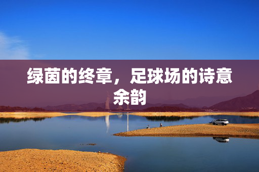 绿茵的终章，足球场的诗意余韵