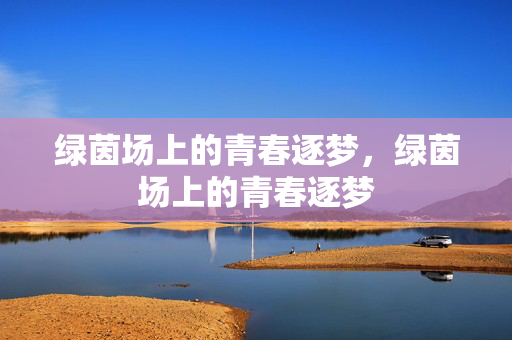 绿茵场上的青春逐梦，绿茵场上的青春逐梦