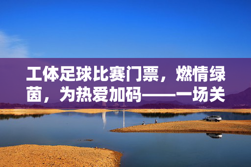 工体足球比赛门票，燃情绿茵，为热爱加码——一场关于足球与激情的门票故事
