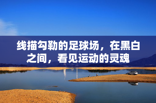 线描勾勒的足球场，在黑白之间，看见运动的灵魂