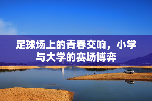 足球场上的青春交响，小学与大学的赛场博弈
