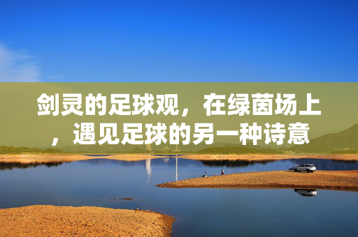 剑灵的足球观，在绿茵场上，遇见足球的另一种诗意