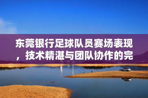 东莞银行足球队员赛场表现，技术精湛与团队协作的完美融合，东莞银行足球队员赛场表现，技术精湛与团队协作的完美融合