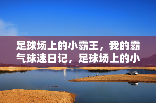 足球场上的小霸王，我的霸气球迷日记，足球场上的小霸王，我的霸气球迷日记