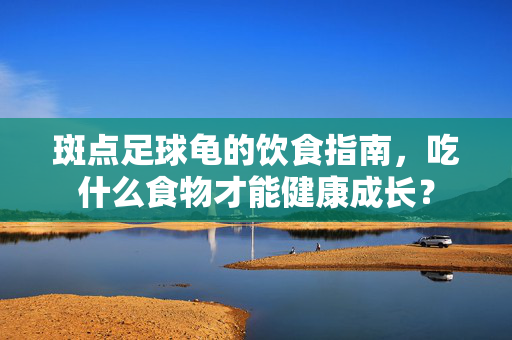 斑点足球龟的饮食指南，吃什么食物才能健康成长？