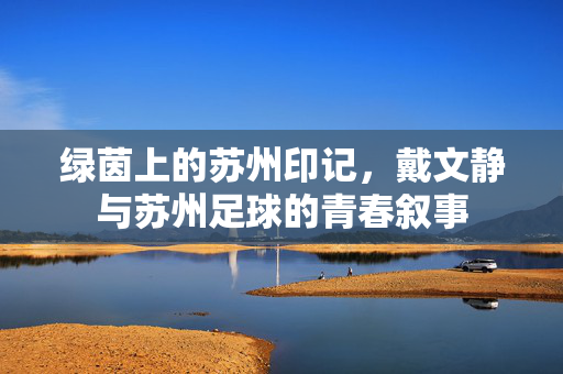绿茵上的苏州印记，戴文静与苏州足球的青春叙事