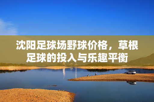 沈阳足球场野球价格,草根足球的投入与乐趣平衡