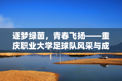 逐梦绿茵，青春飞扬——重庆职业大学足球队风采与成长