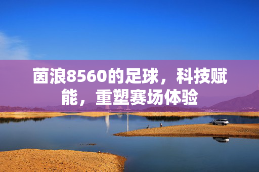 茵浪8560的足球，科技赋能，重塑赛场体验