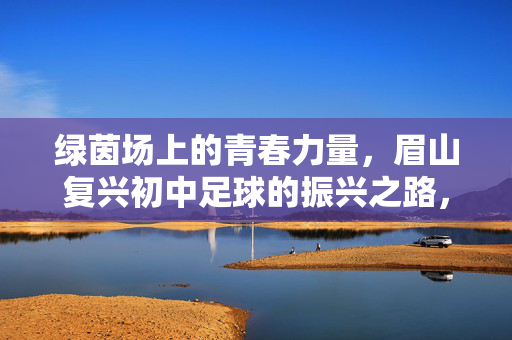 绿茵场上的青春力量，眉山复兴初中足球的振兴之路，绿茵场上的青春力量，眉山复兴初中足球的振兴之路