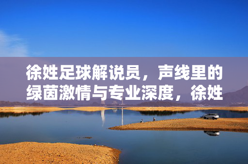 徐姓足球解说员，声线里的绿茵激情与专业深度，徐姓足球解说员，声线里的绿茵激情与专业深度
