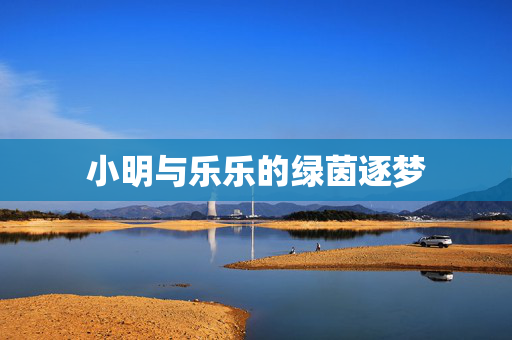 小明与乐乐的绿茵逐梦