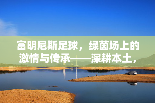 富明尼斯足球，绿茵场上的激情与传承——深耕本土，闪耀欧洲的传奇之旅，富明尼斯足球，绿茵场上的激情与传承——深耕本土，闪耀欧洲的传奇之旅