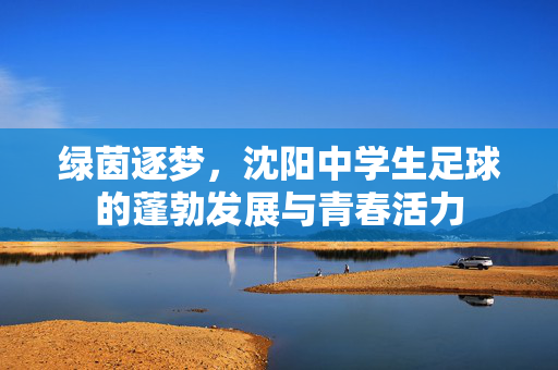 绿茵逐梦，沈阳中学生足球的蓬勃发展与青春活力