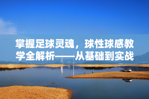 掌握足球灵魂，球性球感教学全解析——从基础到实战的进阶指南，掌握足球灵魂，球性球感教学全解析——从基础到实战的进阶指南