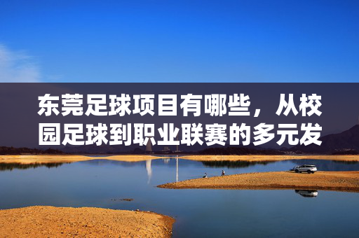 东莞足球项目有哪些，从校园足球到职业联赛的多元发展路径