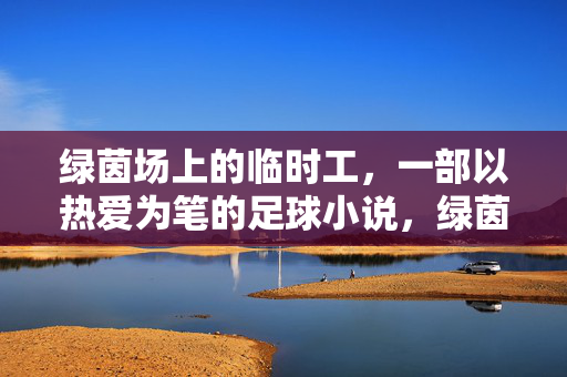 绿茵场上的临时工，一部以热爱为笔的足球小说，绿茵场上的临时工，一部以热爱为笔的足球小说