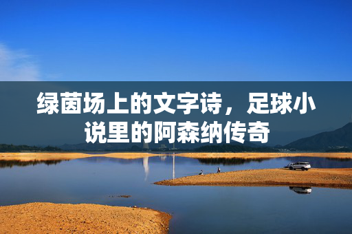 绿茵场上的文字诗，足球小说里的阿森纳传奇