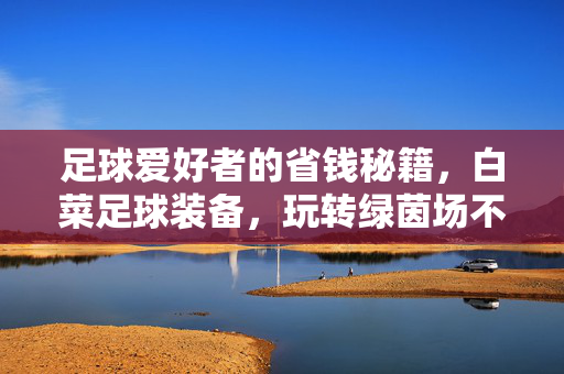 足球爱好者的省钱秘籍，白菜足球装备，玩转绿茵场不花冤枉钱，足球爱好者的省钱秘籍，白菜足球装备，玩转绿茵场不花冤枉钱
