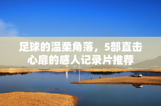 足球的温柔角落，5部直击心扉的感人记录片推荐