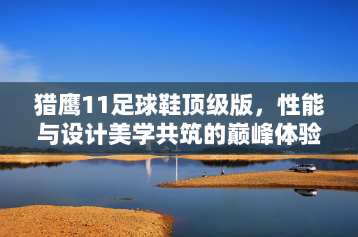 猎鹰11足球鞋顶级版，性能与设计美学共筑的巅峰体验