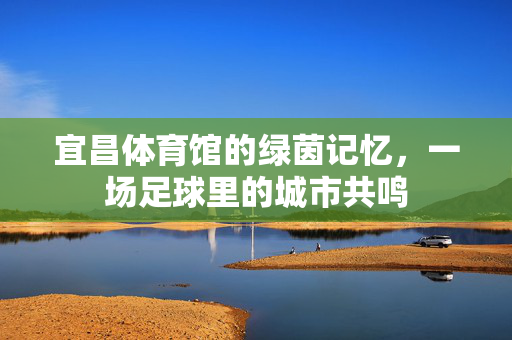 宜昌体育馆的绿茵记忆，一场足球里的城市共鸣