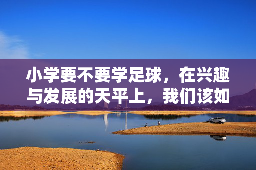 小学要不要学足球，在兴趣与发展的天平上，我们该如何选择？小学要不要学足球，在兴趣与发展的天平上，我们该如何选择？