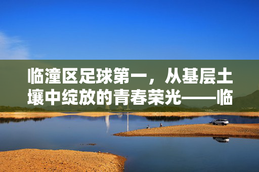 临潼区足球第一，从基层土壤中绽放的青春荣光——临潼区足球发展的非凡历程，临潼区足球第一，从基层土壤中绽放的青春荣光——临潼区足球发展的非凡历程