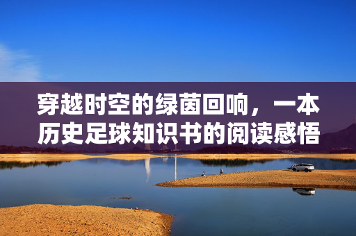 穿越时空的绿茵回响，一本历史足球知识书的阅读感悟，穿越时空的绿茵回响，一本历史足球知识书的阅读感悟